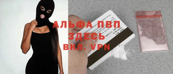 ГАЛЛЮЦИНОГЕННЫЕ ГРИБЫ Липки