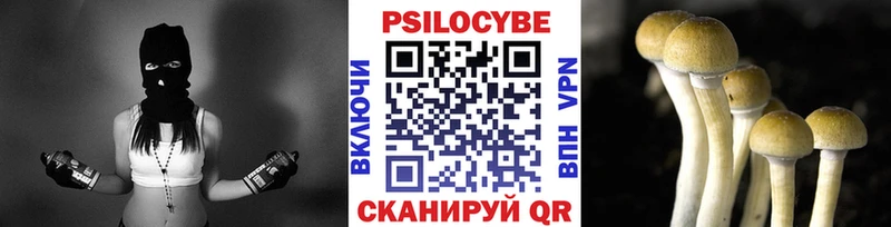 Галлюциногенные грибы Cubensis  Купить закладки  Сенгилей 